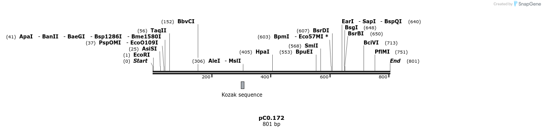250986_map