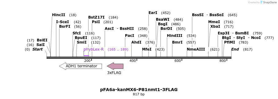 25099_map
