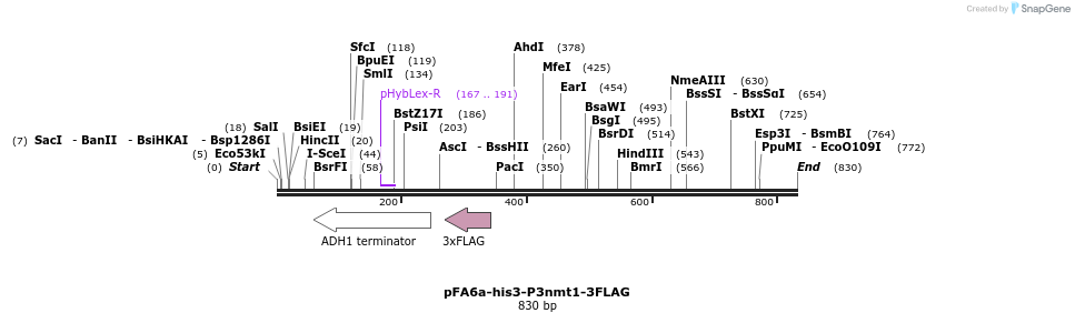 25100_map