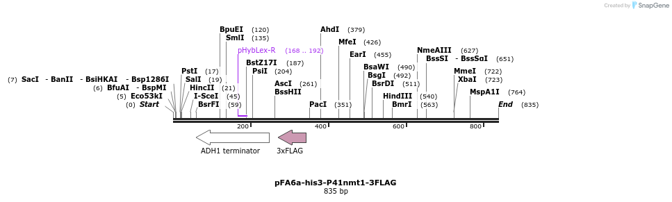 25101_map