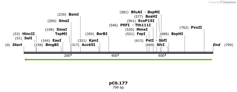 251034_map