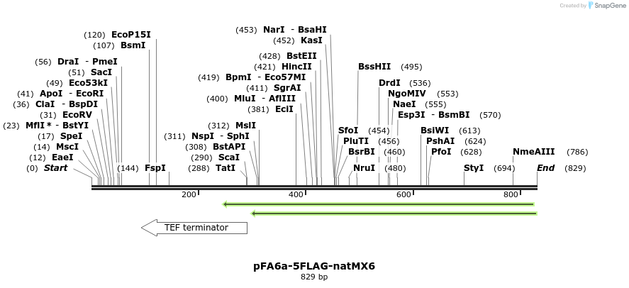 25104_map