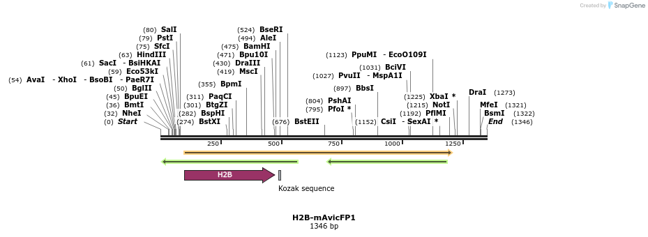 251047_map