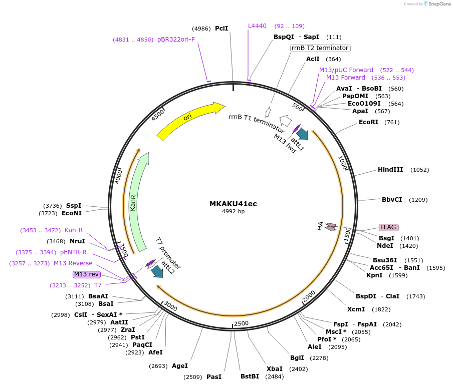 251051_map