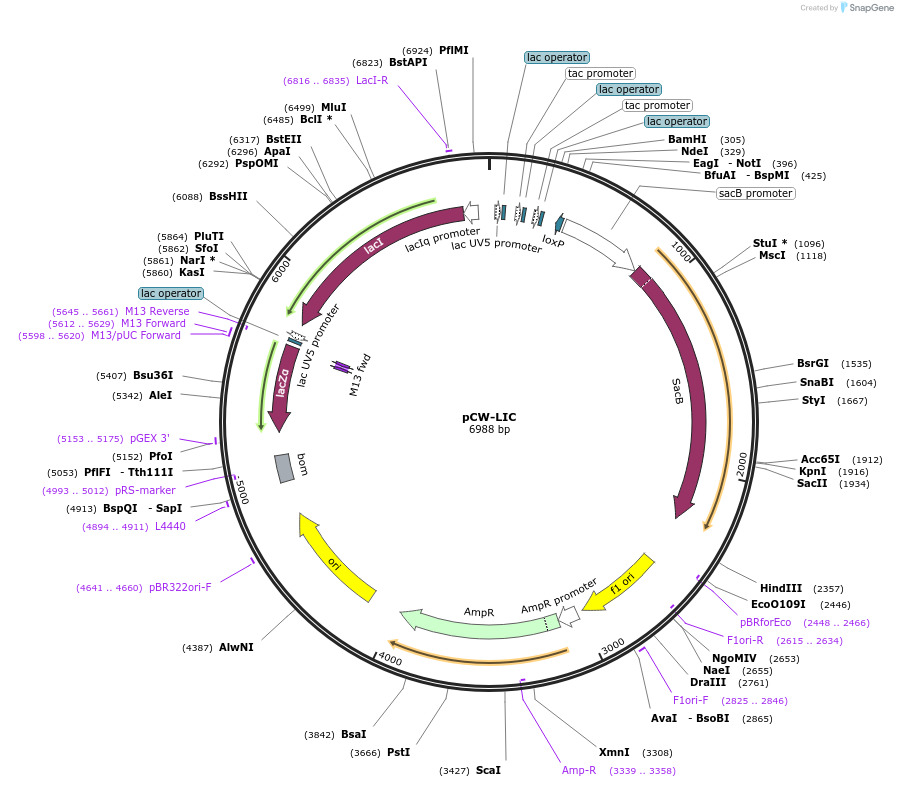 251071_map