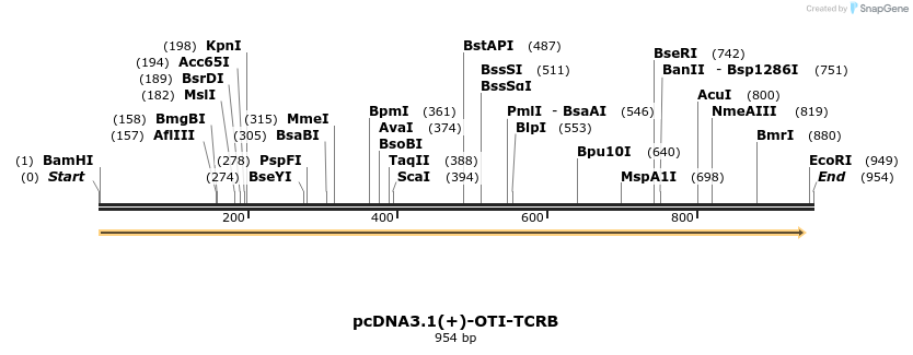 251082_map