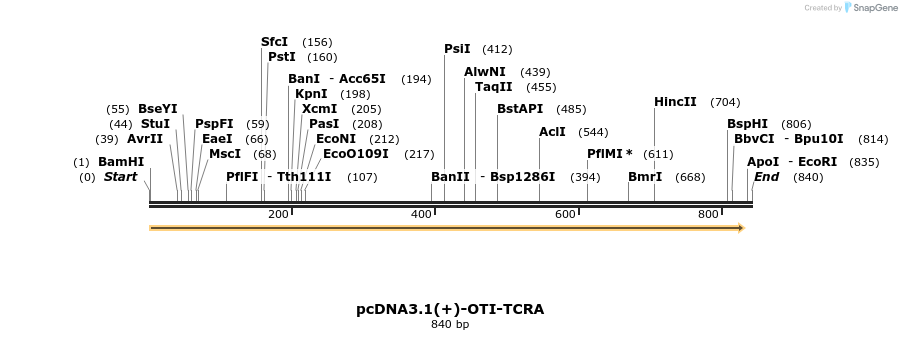251086_map