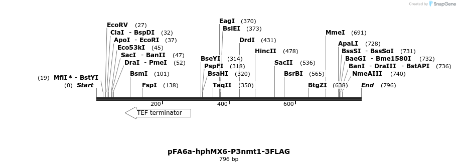 25109_map