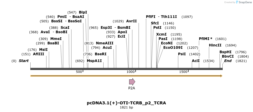 251096_map