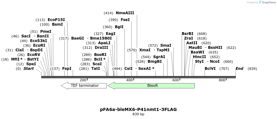 25113_map