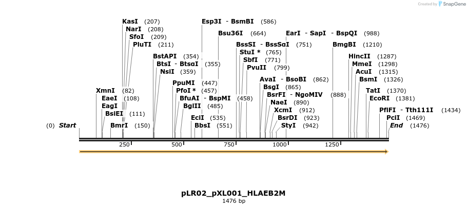 251226_map