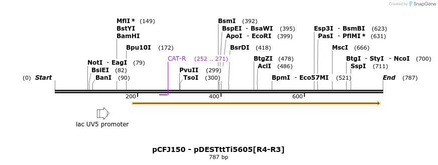 25126_map