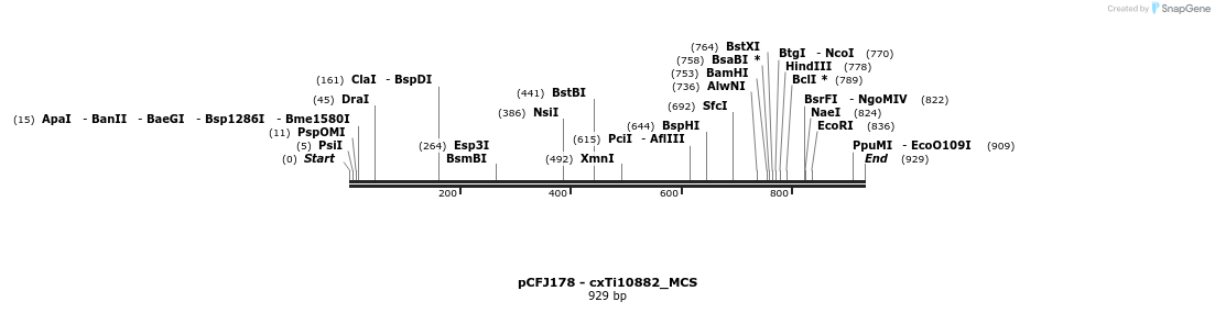 25128_map