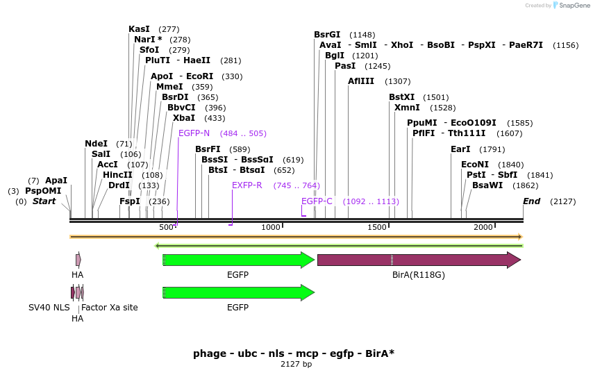 251350_map