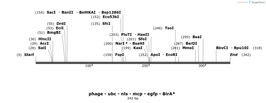 251351_map