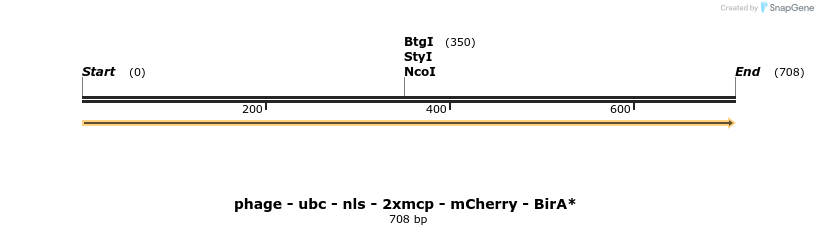 251357_map