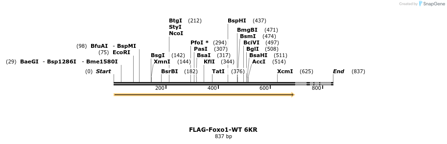 25136_map
