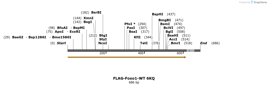 25140_map