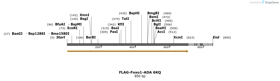 25142_map