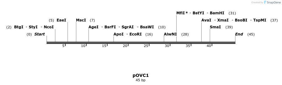 251420_map