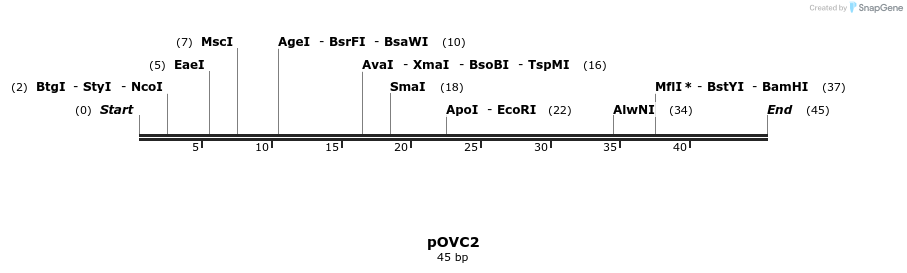 251422_map