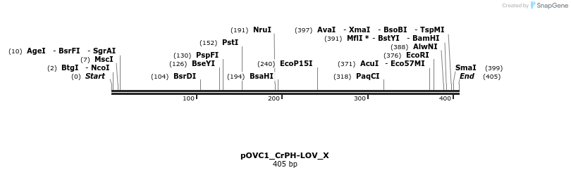 251428_map