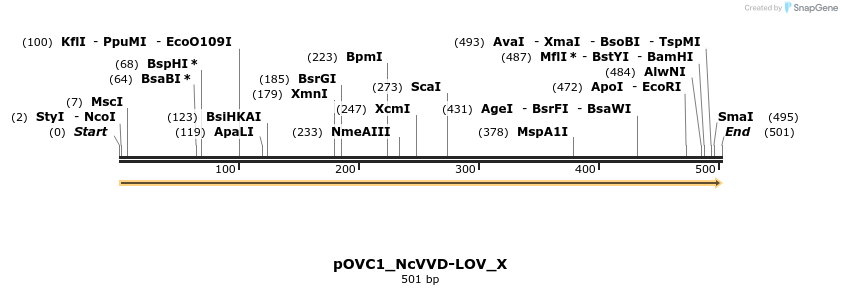 251430_map