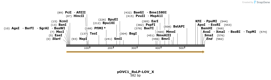 251432_map
