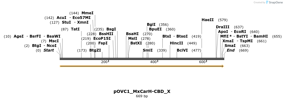 251434_map