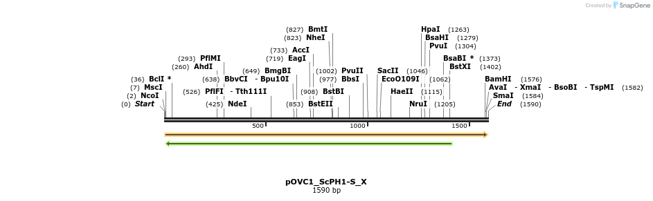 251446_map