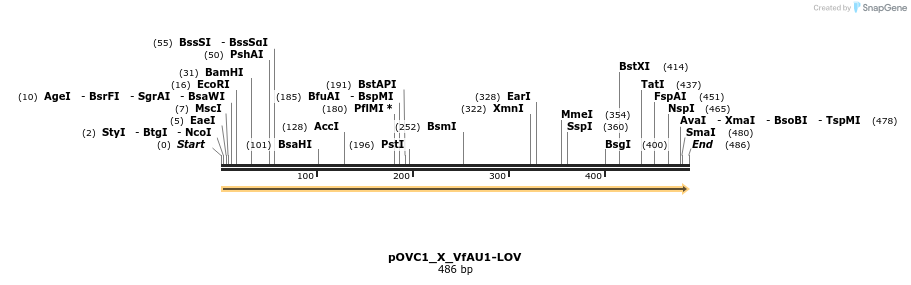 251448_map
