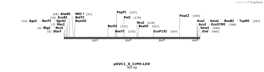 251450_map
