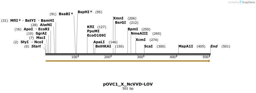 251452_map