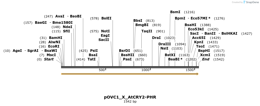 251460_map
