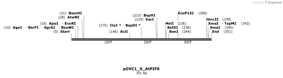 251462_map