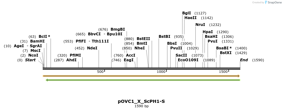 251464_map