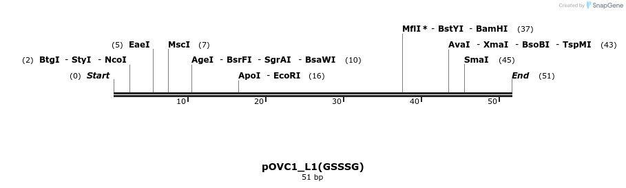 251473_map