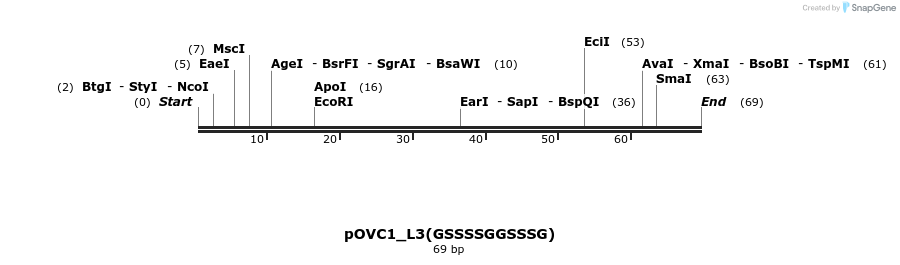 251477_map