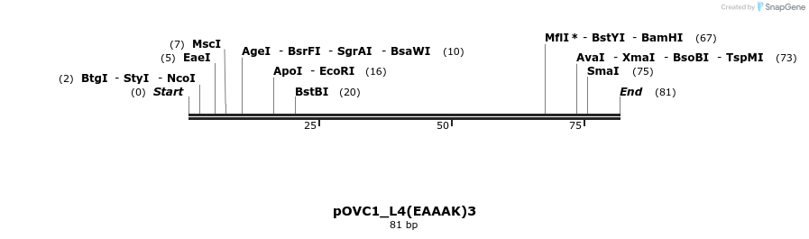 251479_map