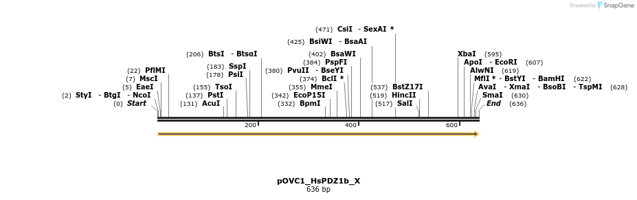 251485_map