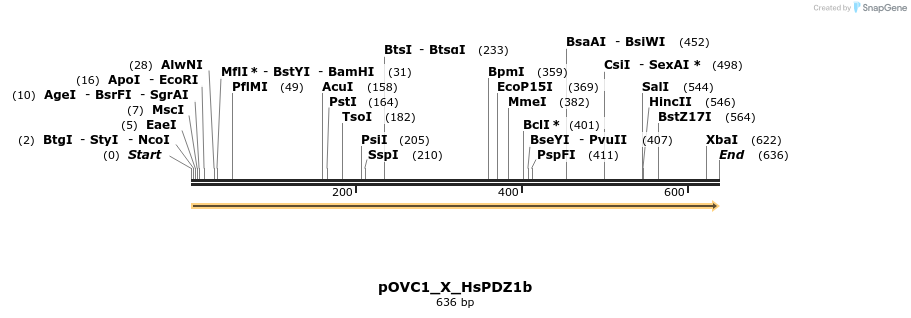 251489_map