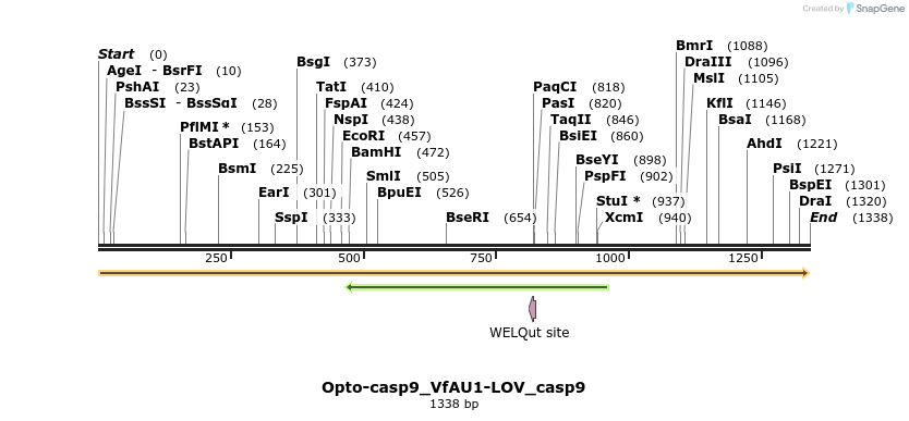 251497_map