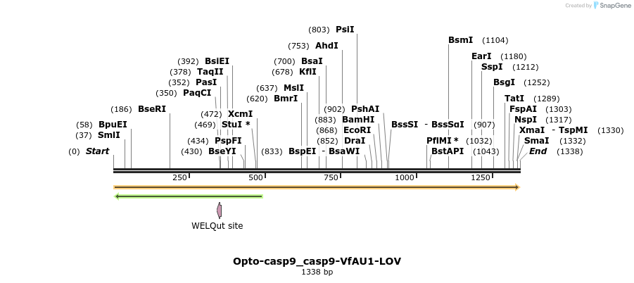 251501_map