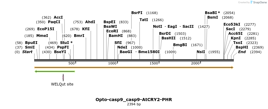 251503_map