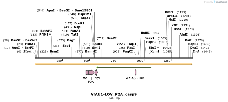 251505_map