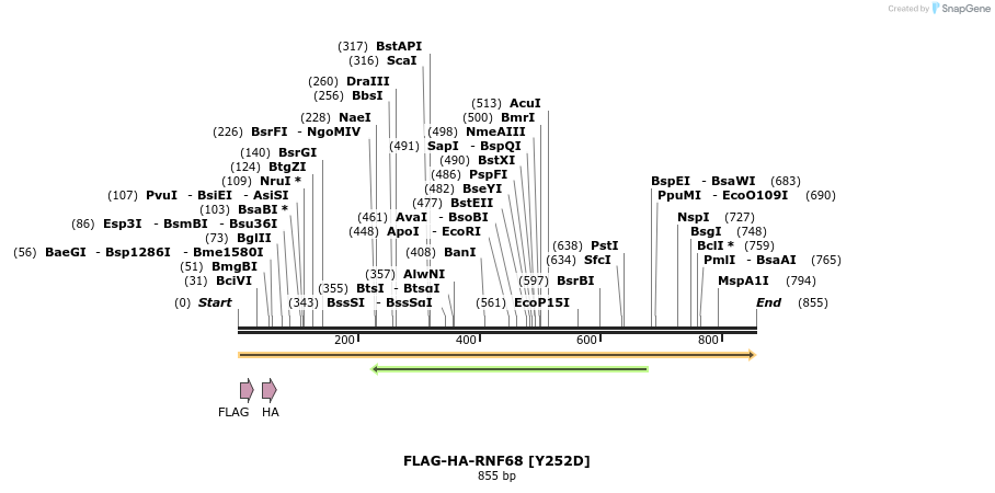 251577_map