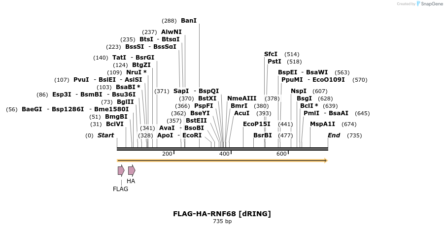 251578_map