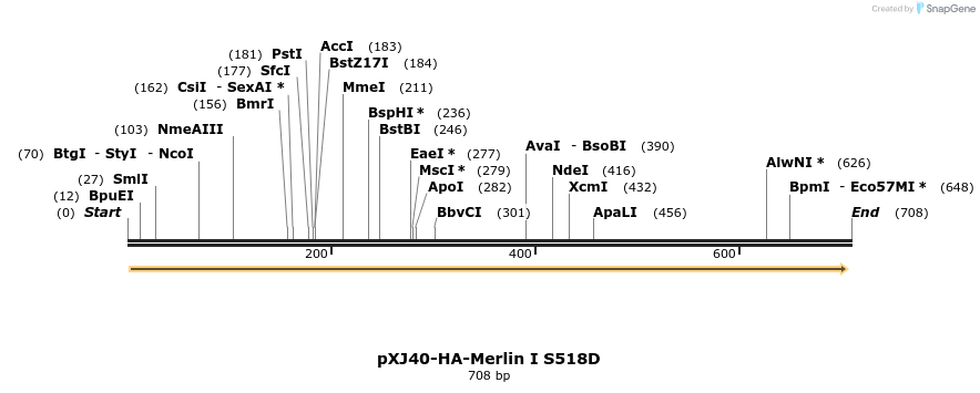 25160_map