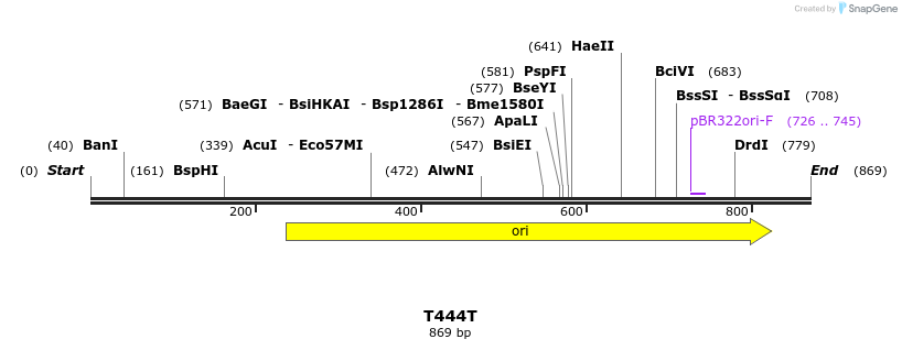 251608_map