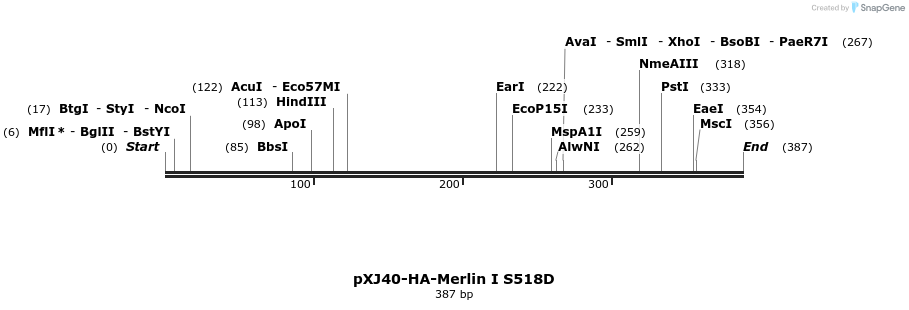 25161_map